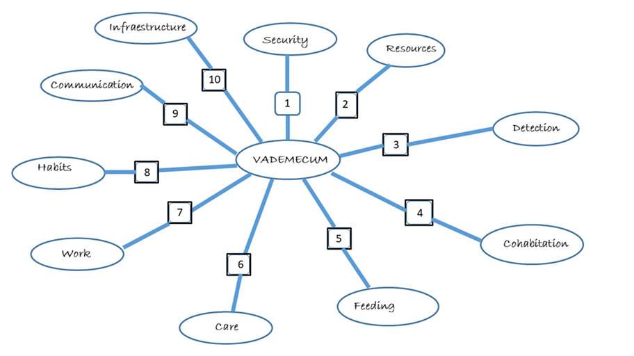 Illustration 6. Lines of action in the Vademecum